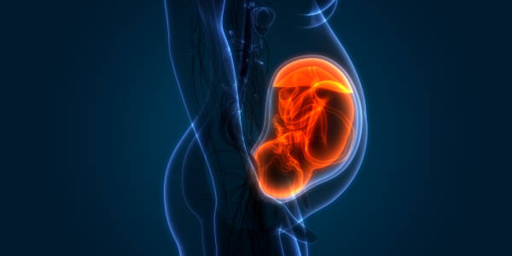 What Does an Anterior Placenta Mean for Your Pregnancy? A Detailed Guide