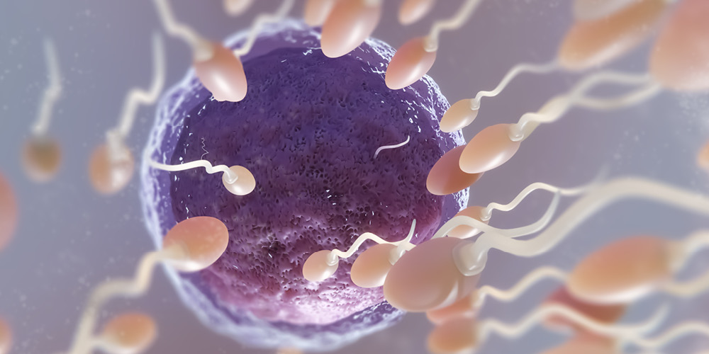 What You Need to Know About ICSI: A Comprehensive Overview of the Procedure and Success Rates