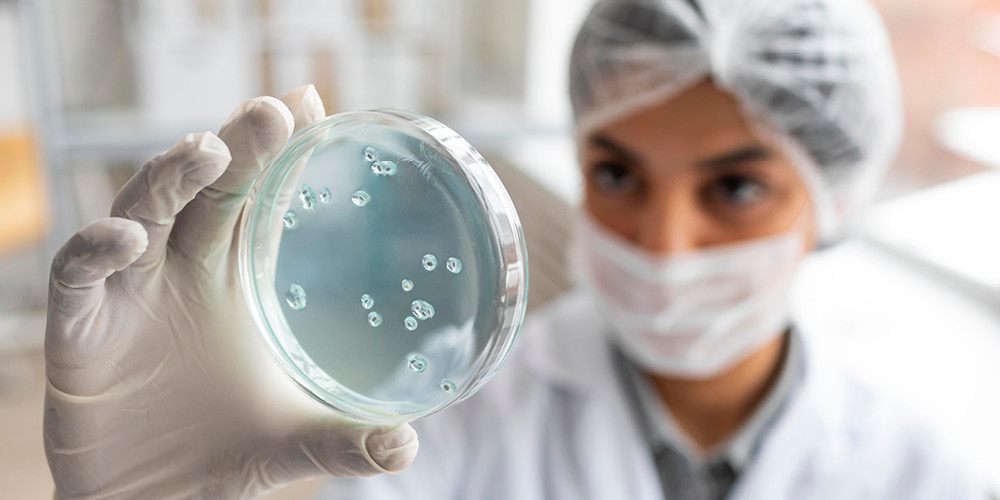 Understanding Egg Quality and Its Impact on IVF Success