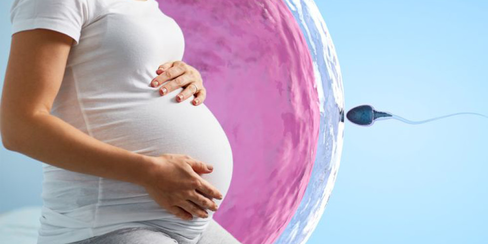 IVF Pregnancy: Navigating Challenges