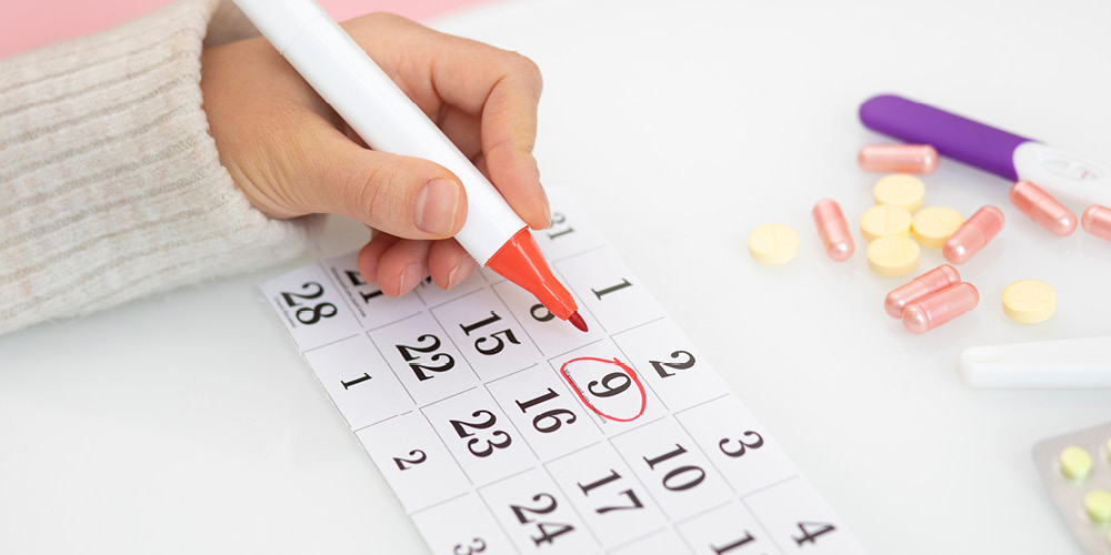 How to Use an Ovulation Date Calculator to Predict Your Fertility Window