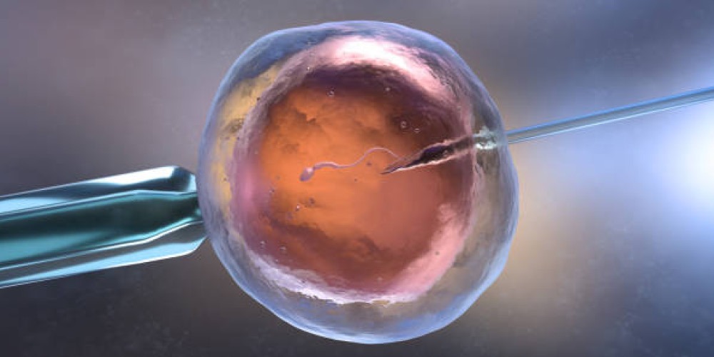 What Transpires and what causes occur during embryo transfer in the process of IVF?