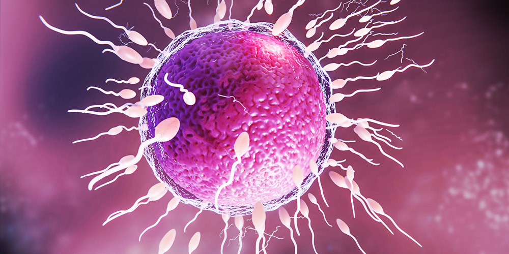 Breaking Down IVF Cost: Factors That Affect the Price