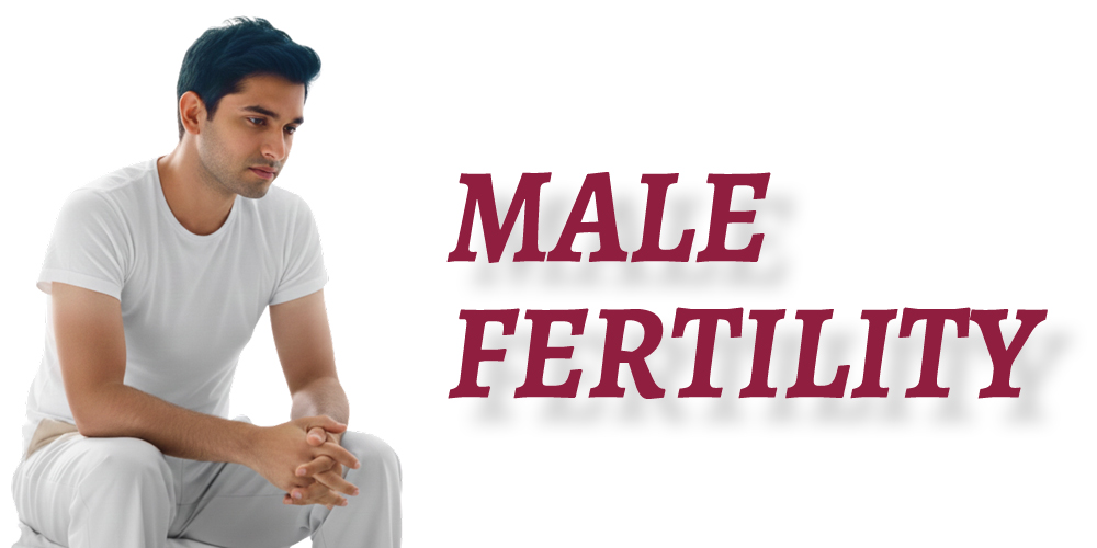 Male Fertility: Meaning, Types, Cost & When to Consult a Specialist
